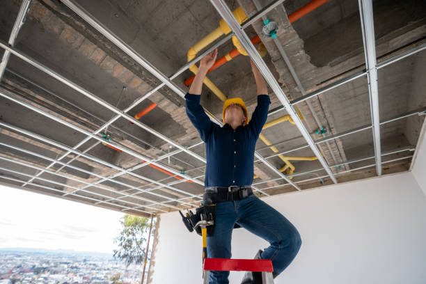 Best Plumbing Services Near Me  in Buffalo, SC
